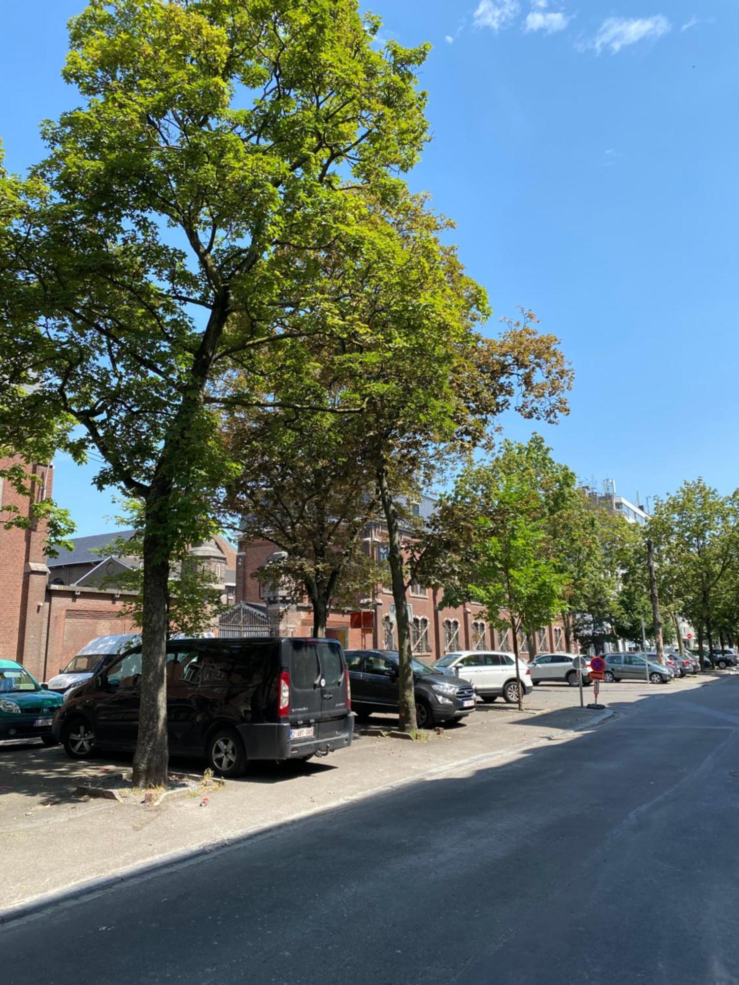 Sweet Home Liege Bagian luar foto